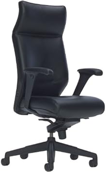 Amazon Com Keilhauer Tom 9871 Executive Highback Office Ergonomic Chair Office Products