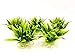 BEGONDIS 5Pcs Aquarium Decorations Fish Tank Artificial Green Water Plants Made of Soft Plastic,Safe for All Fish & Petsthumb 4