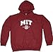 New York Fashion Police MIT Hoodie Massachusetts Institute of Technology Hooded Sweatshirt L Maroon
