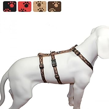 Das Original - NoExit Hundegeschirr ® - 100 % ausbruchsicher für Angsthunde, Sicherheitsgeschirr für Pflegehunde, Panikgeschi