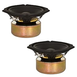 Goldwood Sound, Inc. Stage Subwoofer, Shielded