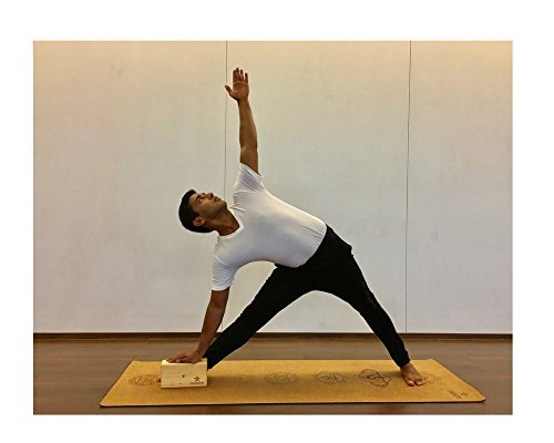 iyengar yoga blocks