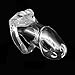 YiFeng Biosourced Resin Male Chastity Cage Device Belt Restraint Men Bondage Fetish ZCS142 (Long, Clear)