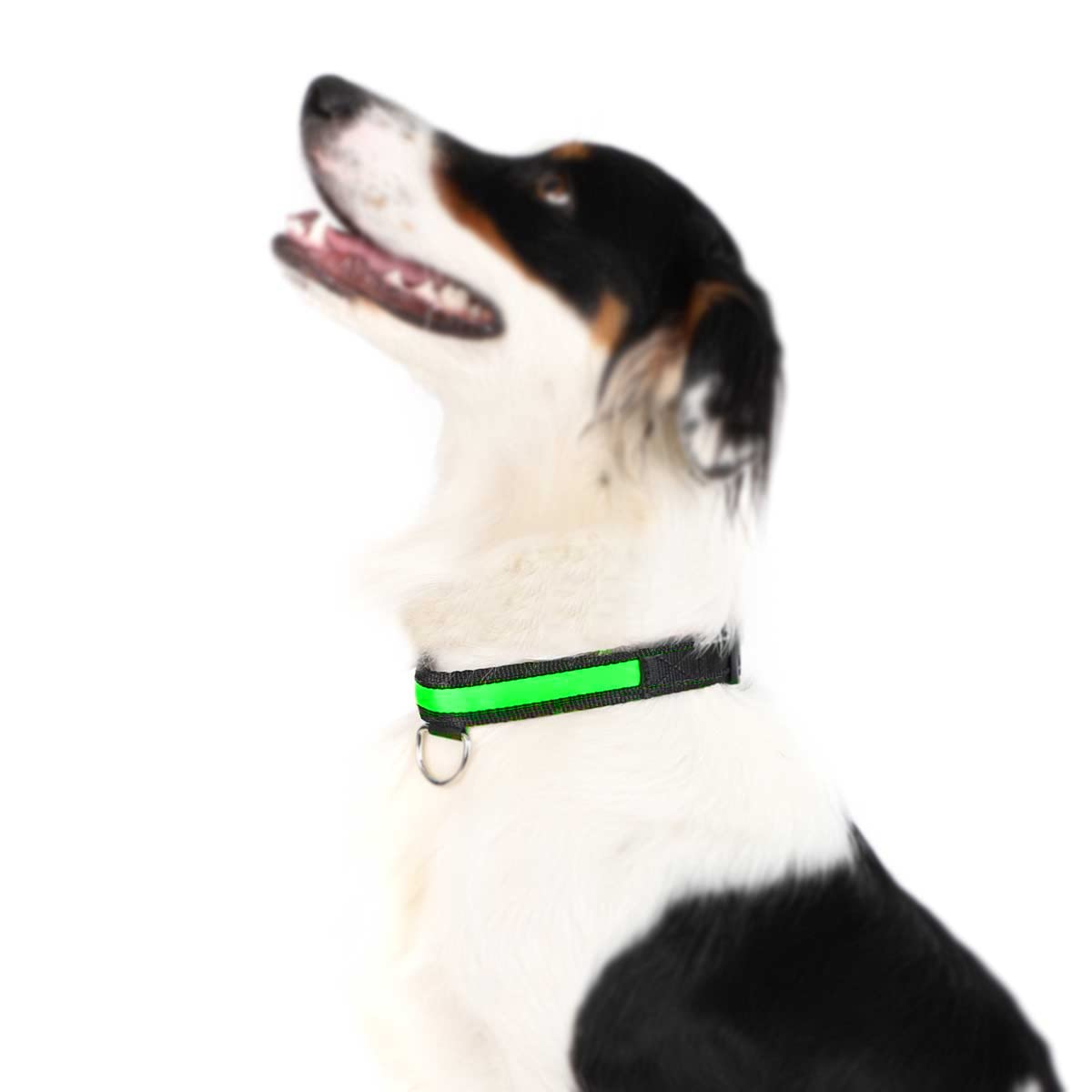 Luminous Soft Nylon Collar for Pet Safety, Great for Night Walking with Your Dog, 3 Lighting Modes, Easy to Disassemble and Clean (S, Green)