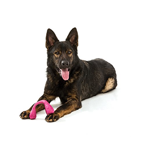 West Paw Zogoflex Air Wox Tug of War Dog Chew Toy Interactive Squishy