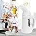 YongLin Travel Wrinkle Remove Fabrics Steamers - Powerful Home Steamer Clothes,Clean,Sterilize,Handheld Garment Steamers Automatic Shut-Off Safety Protection