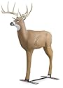 Shooter Buck 3D Archery Target with Replaceable Core