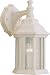 Forte Lighting 1715-01-13 Exterior Wall Light with Clear Beveled Glass Shades, Matte White