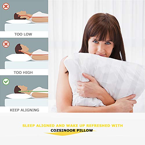 COZSINOOR Hotel Collection Pillows for Sleeping (2-Pack)- Luxury Down Alternative Pillow Breathable Premium Quality Cover Skin-Friendly (Queen Size)