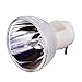 EWO'S RLC-092 RLC-093 Projector Bare Lamp Bulb for Viewsonic PJD5555W PJD5153 PJD5255 PJD5155 PJD5553LWS PJD5353LS Lamp Bulb Replacement