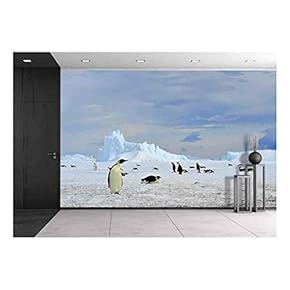 Emperor Penguin Snow Hill, Antarctica 2010 on The Icebreaker Kapitan Khlebnikov - Removable Wall Mural | Self-Adhesive Large Wallpaper - 66x96 inches