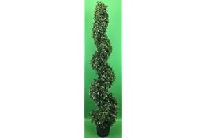 SILK TREE WAREHOUSE Boxwood Spiral Topiary Tree Indoor Outdoor UV Rated 4 Foot Potted. Free Returns!