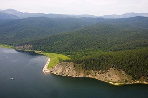 SUPERIOR GRADE PINE NUT OIL 3.5 oz/100 ml. Extra Virgin, Authentic and 100% Natural. Unfiltered, First Press Only, Cold… - Image 8