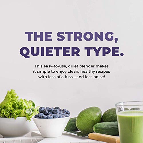 Cleanblend Commercial Blender 64oz Countertop Blender 1800 Watts