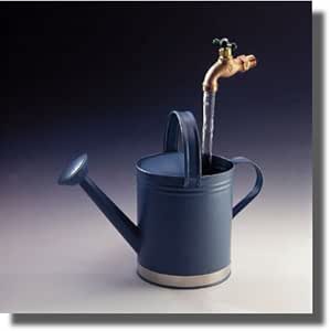 Amazon.com: Blue Watering Can Floating Faucet Fountain: Home & Kitchen