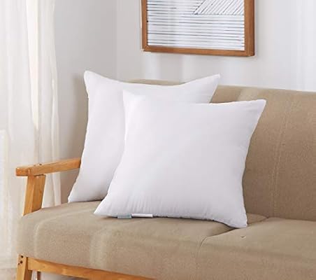 Amazon Com Acanva Bed Decorative Throw Pillow Insert Soft