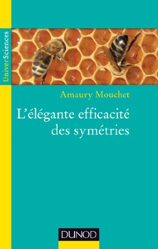 L' élégante efficacité des symétries
