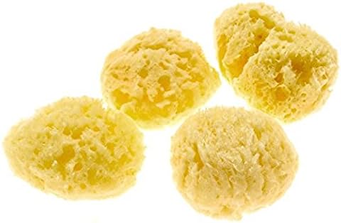 4-Pack of Hermit Crab Sea Sponges (All Natural Hermit Crab Sponge) Awesome Aquatics