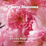 Cherry Blossoms 8.5 X 8.5 Calendar September 2019 -December 2020: Monthly Calendar with U.S./UK/ Can by 
