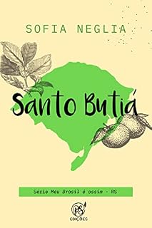 Livro Santo butiá: RS (Meu Brasil é assim Livro 27)
