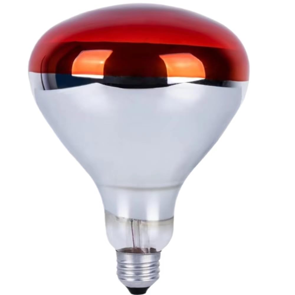 MBMYUCKY Infrared Heat Lamp Chick - Chickens Heat Lamp Tortoise Red Light for Brooder Poultry Bathroom Infrared Incandescent Light Bulb R125 250W