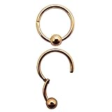 16G/14G 8/10mm 316L Steel Hinged Clicker Septum Rings Captive Bead Hoop CBR Daith Eyebrow Nipple Helix Tragus Stud Body Piercing(Sold Individually)