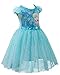 Eyekepper Kids Children Girls Cartoon Elsa Princess Cosplay Mesh Bubble Dress Blue