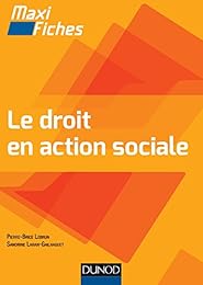 Le  droit en action sociale