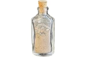 US GHOST ADVENTURES Official Lizzie Borden House Single Brick Dust Vial | Halloween Collectible | Gothic Home Decor | Spooky Souvenirs