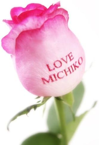 Amazon 新しいフラワーギフト バラの花びらに想いを メッセージ ローズ ピンク 生花 ギフトカタログ Beliem Gift アクティブ カタログギフト 通販