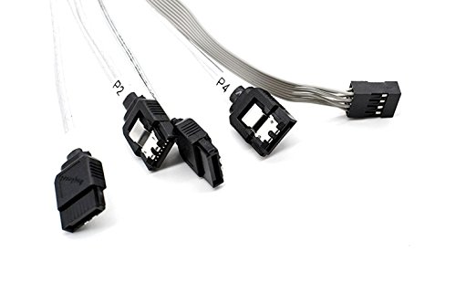 CineRAID Internal HD miniSAS 12G (SFF-8643) to 4 Port SATA cable (0.5 meters/1.6 foot length)