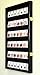 42 Collector NGC PCGS ICG Coin Slab Display Case Cabinet Holder Rack – Lockable, Black