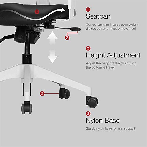 【DUOREST Gold Plus】 Upgraded Model Ergonomic Office Chair, Office