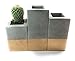 Square Concrete Succulent Planters/Air Plant Holders/Vase. (set of 3) BIRCH & GOLD. Cement Succulent pots. Modern Planter set