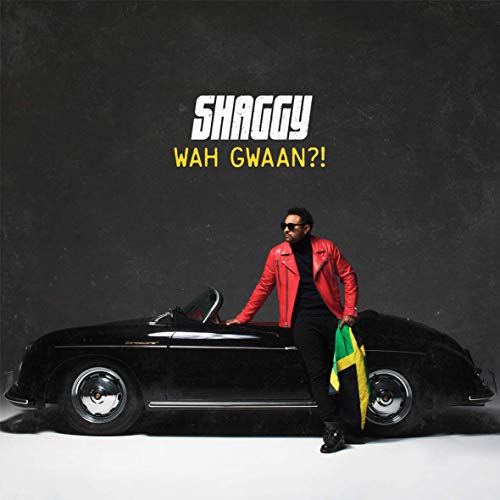 Album Art for Wah Gwaan [Colored Vinyl] by Shaggy
