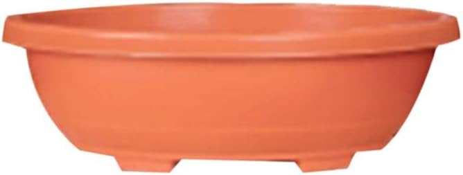Gamla Garden Decor Bonsai Pot Terracotta Colour Terracotta