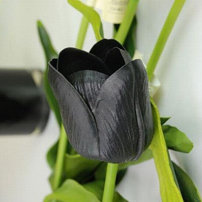 SILKSART 5 Tulip Bulbs early bloom Perennial Bulbs for Garden Planting Beautiful Flower--SHIPPING NOW!!!