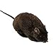 Forum Novelties Real Looking Fake Rat Prop