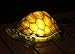 TIAAN 157808 Solar Powered LED Light Garden Decor,Turtle with LED Glowing Shell