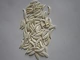 25 Pcs. Coyote Aka Wolf Brush Teeth -Odditie - Mountain Man - Taxidermy - Craft Supplie - Native American Style Craft