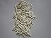 25 Pcs. Coyote Aka Wolf Brush Teeth -Odditie - Mountain Man - Taxidermy - Craft Supplie - Native American Style Craft