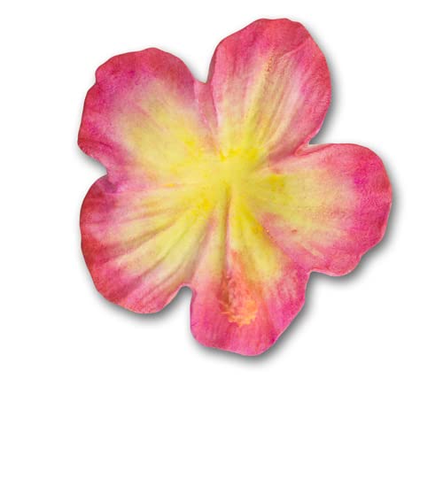 DPMCO.Ltd Hibiscus Mould