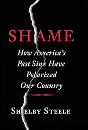 Shame: How America's Past Sins Have Polarized Our Country