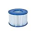 Coleman Inflatable Spa Filter Pump Replacement Cartridge Type VI 90352 (2 Pack)