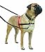HALTI Front Control Harness - To Stop Your Dog Pulling on the Leash. Adjustable, Lightweight and Easy to Use. Anti-Pull Dog Training Harness for Large Dogs (Size L)