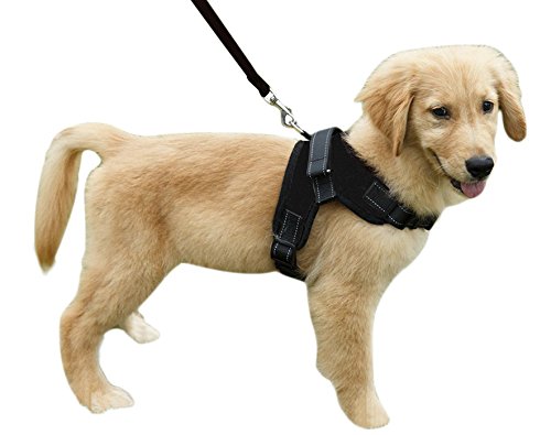Heavy Duty Adjustable Pet Puppy Dog Safety Harness with Leash Lead