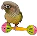 Tropical Chickens Bird Parrot Toys, Enrichment Rattle Bells, Barbell for Conures, Green Cheek, for Smaller Birds Foraging Foot Talon Toy (2X)