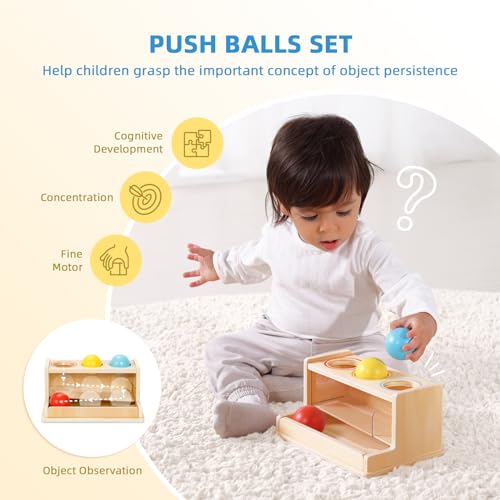 OOOK MONTESSORI TOYS FOR 1 YEAR OLD, 5 IN 1 LEARNING EDUCATIONAL WOODEN TOYS SET (INCLUDES PUSH BALLS SET, SHAPE SORTER, MIRROR PUZZLE, CLOTH TOY BOX AND MORE)