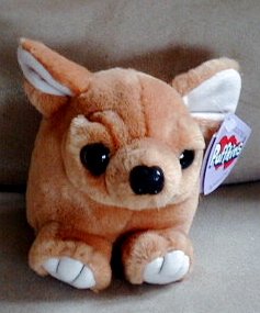 Puffkins - Chalupa the Chichuahua