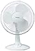 Hurricane 736549 Portable Desk Fan, 12-Inch, White